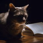 Cat Author Of Scientific Work
