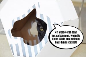 Sichere Katzenverstecke, MyKotty