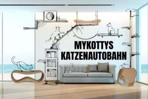 Katzenautobahn, MyKotty